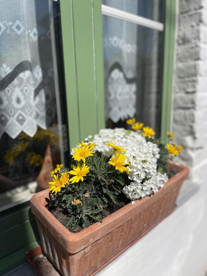 De Wabisabiboerderij Bed & Breakfast Oedelem ภายนอก รูปภาพ
