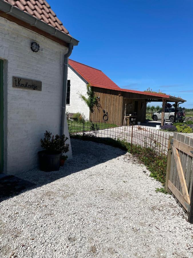 De Wabisabiboerderij Bed & Breakfast Oedelem ภายนอก รูปภาพ