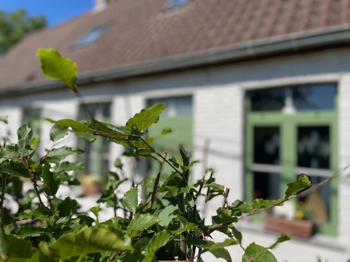 De Wabisabiboerderij Bed & Breakfast Oedelem ภายนอก รูปภาพ